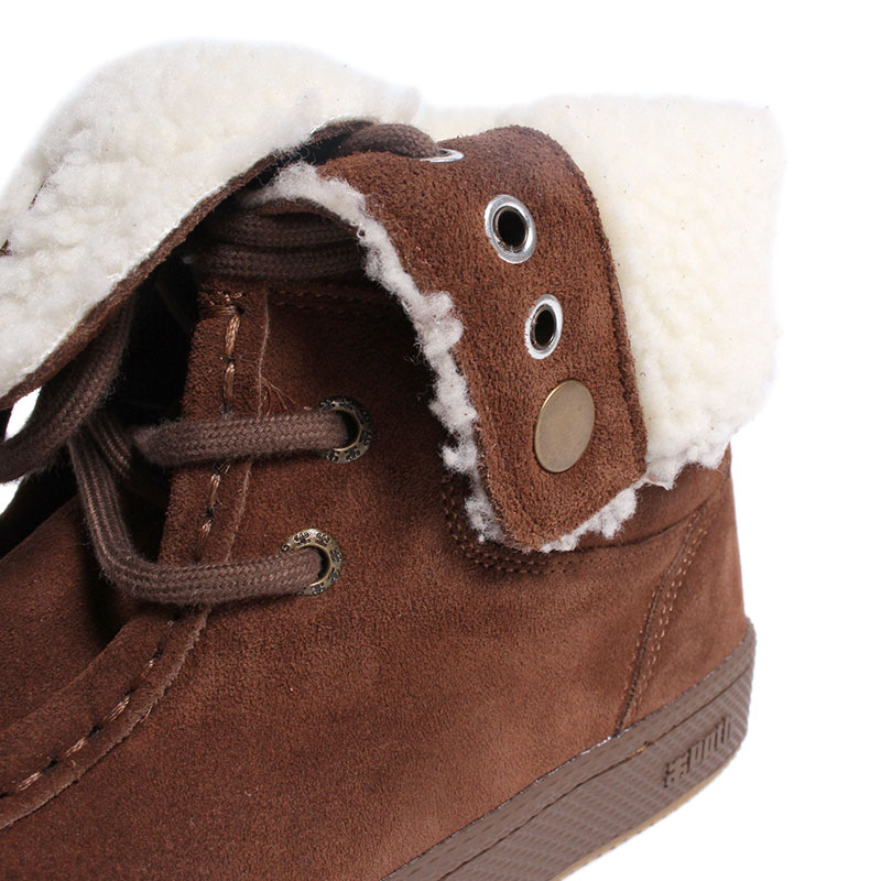 CATS HIGH SHEARING -BROWN-