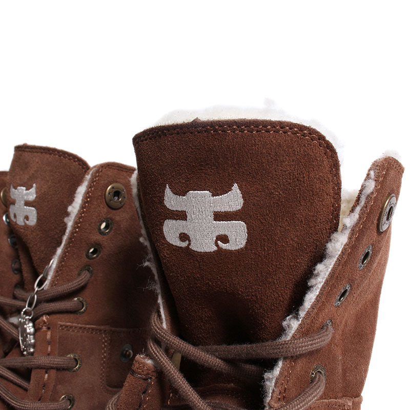 CATS HIGH SHEARING -BROWN-