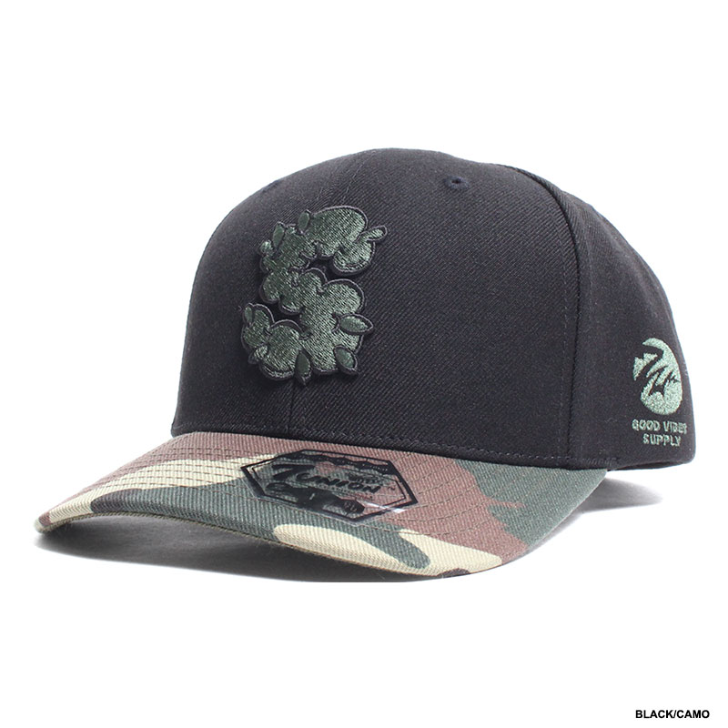 バリエーション画像