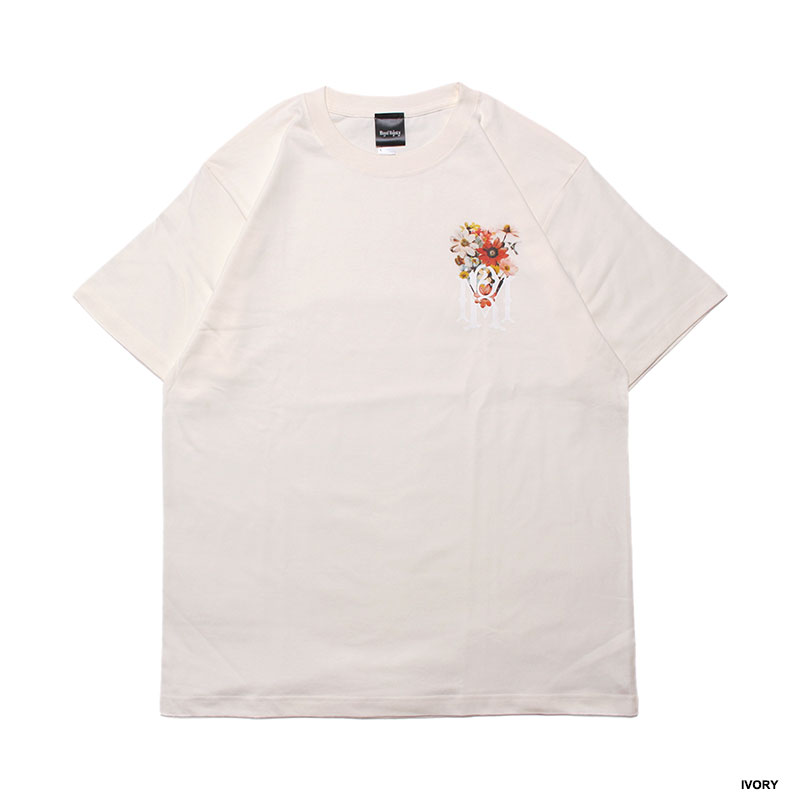 バリエーション画像